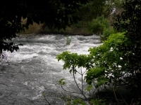 Река Дан - 004