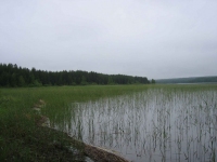 Финский пейзаж 3