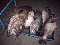 Рыбалка в Испании 1
