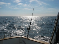 Рыбалка в Испании 2