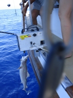 Рыбалка в Испании16